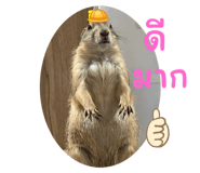 671740493