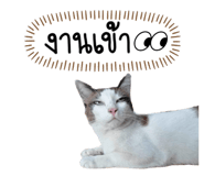 671767439
