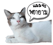 671767442