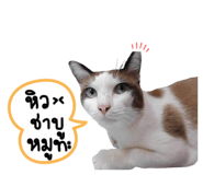 671767449