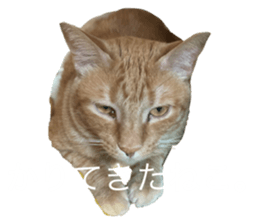 671799910