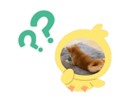 671824722