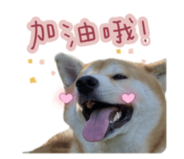 671832821