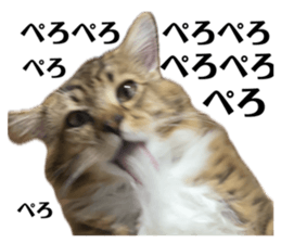 671839163