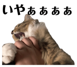 671839174