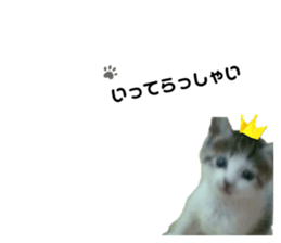 671929068