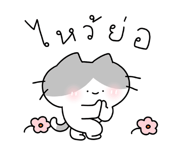 ลายที่ 12