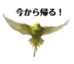 671939506