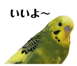 671939512