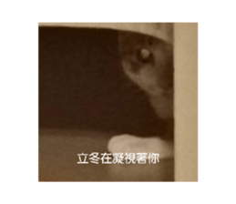 671981489