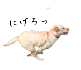 671982577
