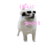 671992445