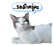 672019079