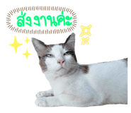 672019080