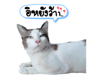 672019090