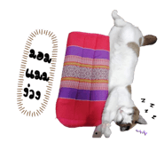 672019096