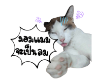 672019097