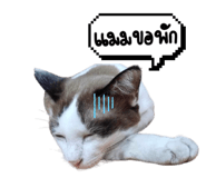 672019098