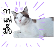 672019100