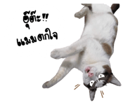 672019101