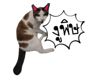 672019106