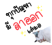 672019108