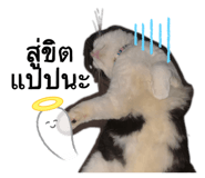 672023797