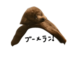 672066611