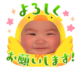 672068558