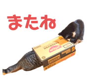 672098560