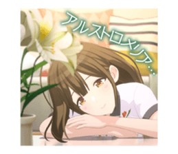 672204443
