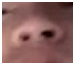 672221976