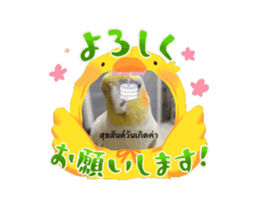672226084