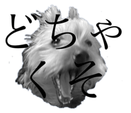672227047