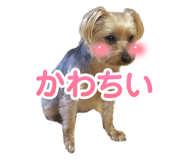 672227052