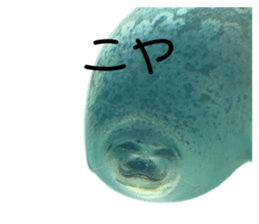 672264034