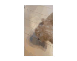 672267251