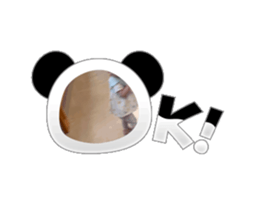 672267500