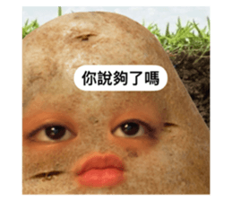 672271135