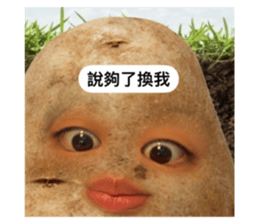 672271136