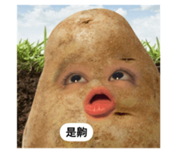 672271137