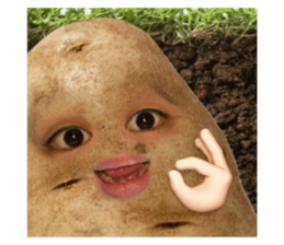 672271142