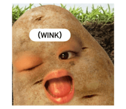 672271144