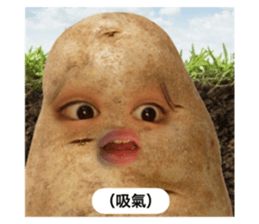 672271145