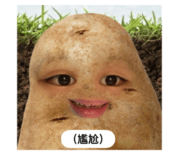 672271146