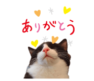 672280814