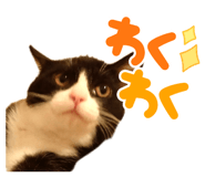 672280818