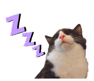 672280825
