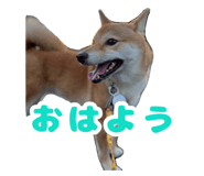 672285822