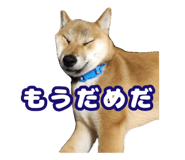 672285828